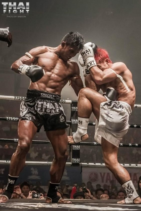 ムエタイとキックボクシングの違いは 最強選手は誰だ 熱闘格闘技